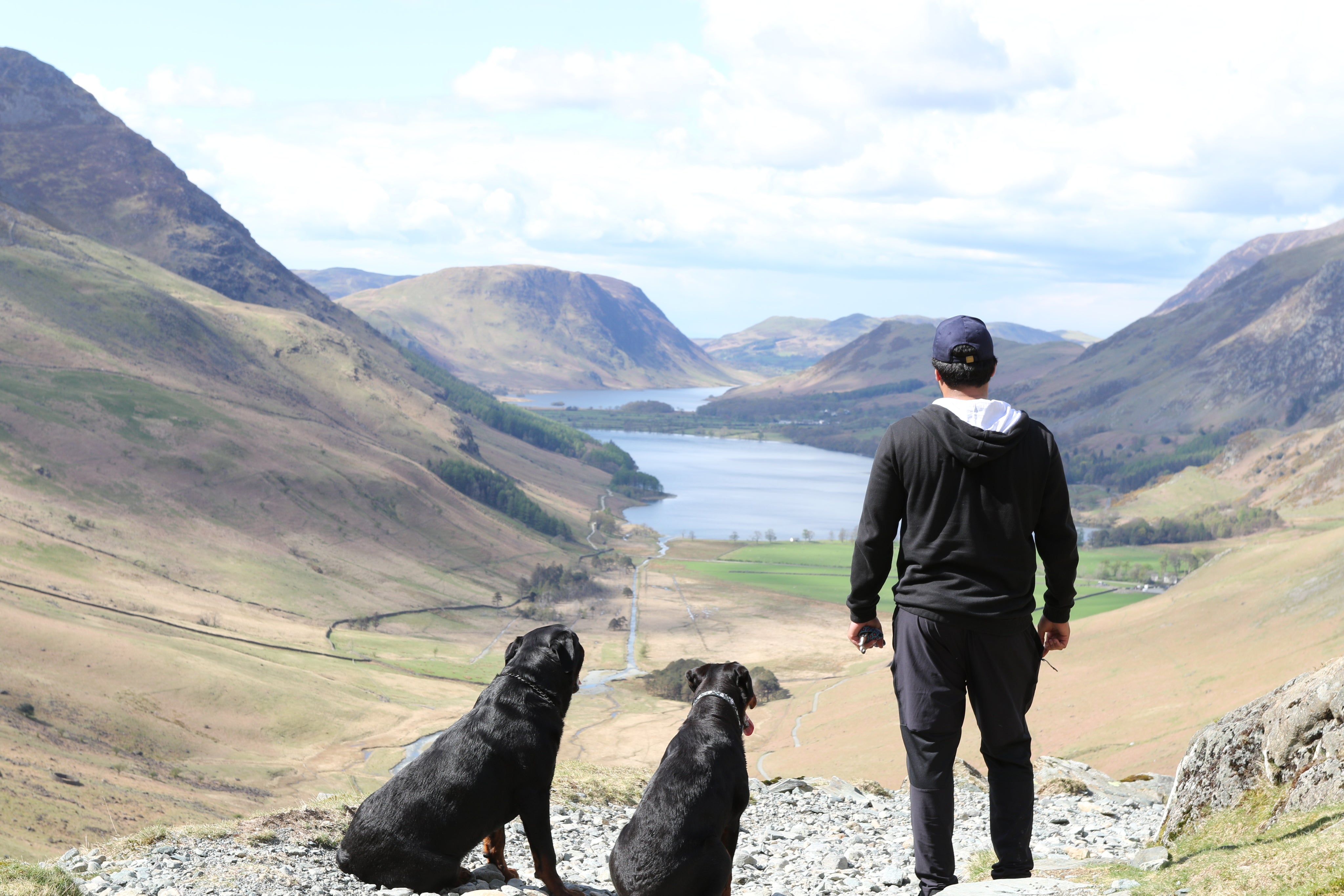 files/man-and-dogs-admire-valley.jpg