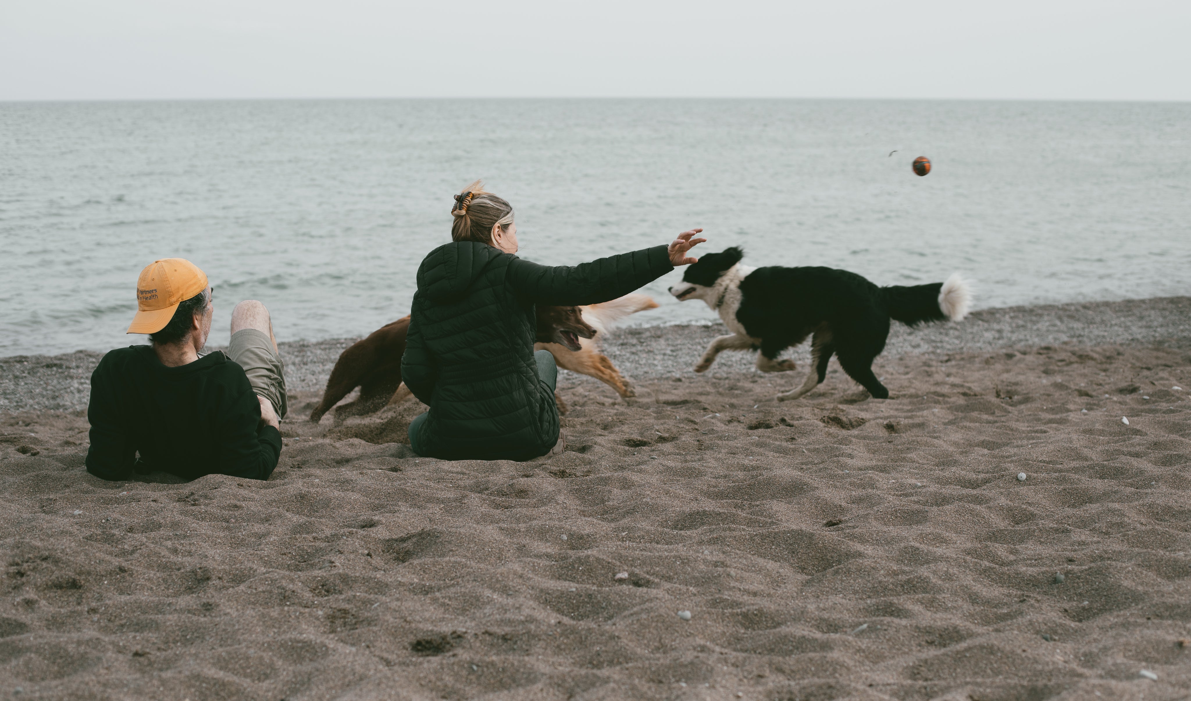 files/two-people-sit-on-a-beach-throwing-a-ball-for-two-dogs.jpg